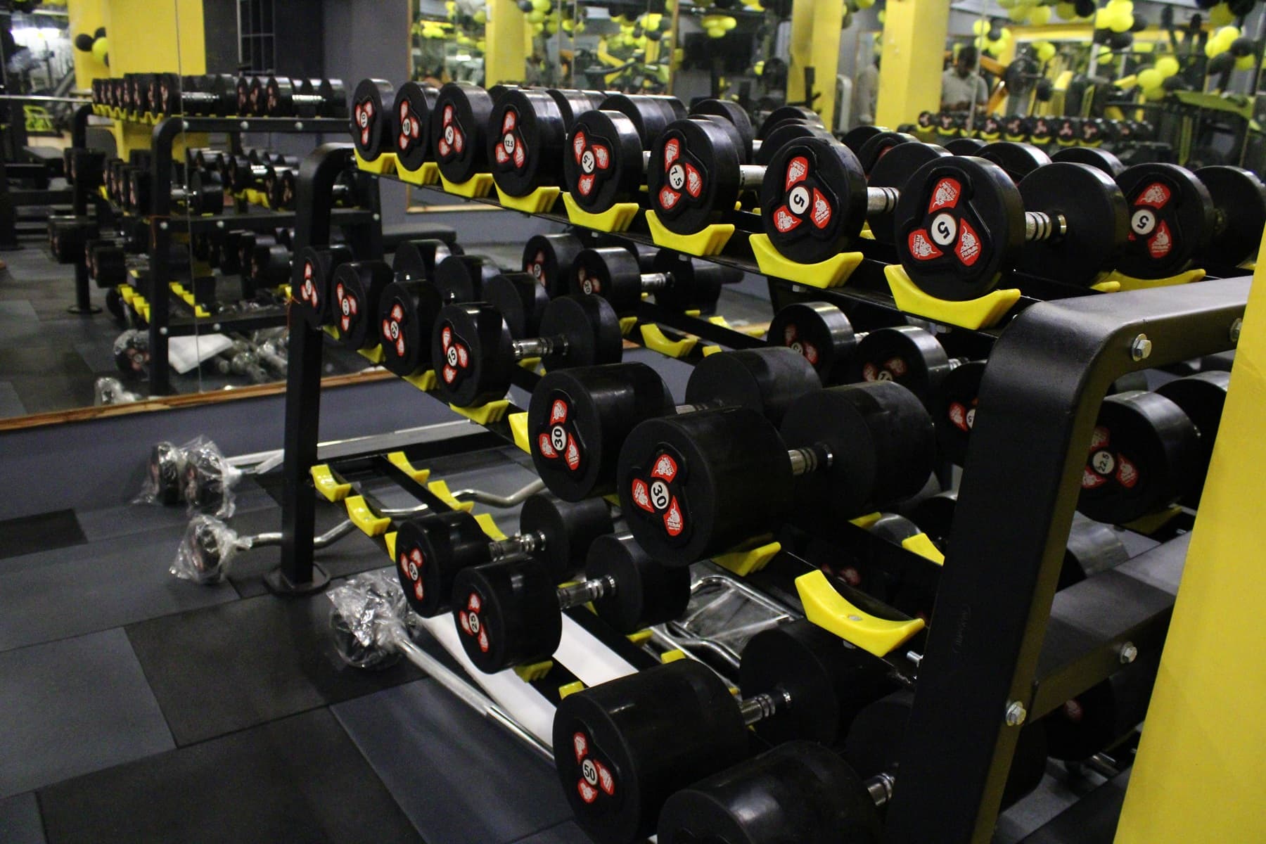 Gold's Top Fitness Gallery